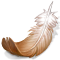 Big ico feather.png